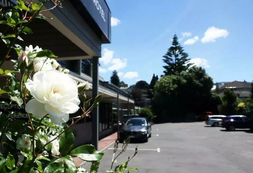 Fotos del hotel Pacific Park Motel And Conference Centre:  14