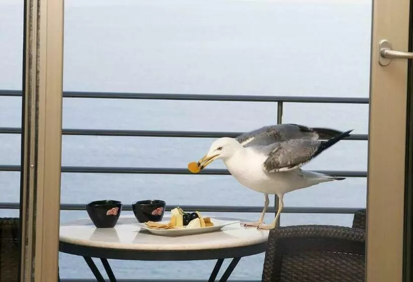 Fotos del hotel Cinar:  13