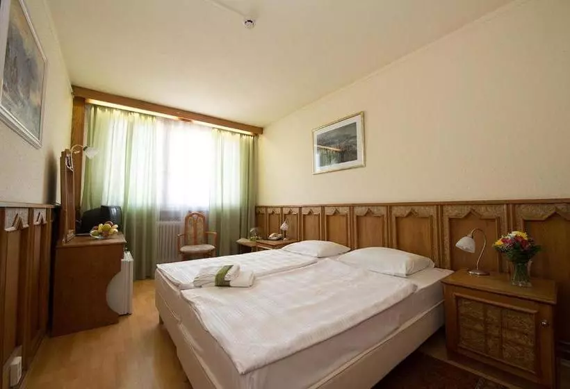 Fotos del hotel Aranybika:  13