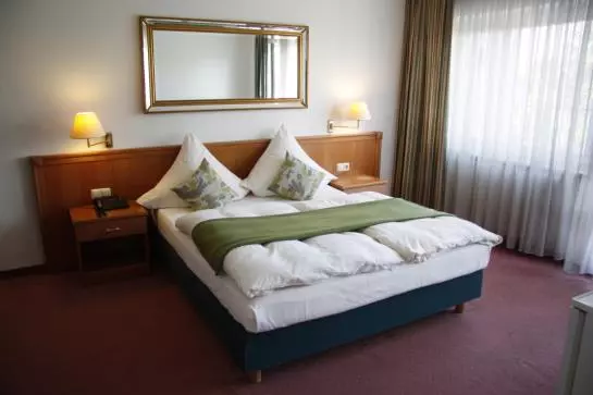 Fotos del hotel Centro Hotel Royal:  24