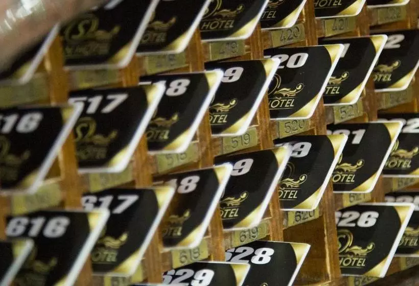 Fotos del hotel Sevcan  Airport:  4