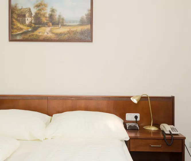 Fotos del hotel Tulip Inn Vienna Thüringer Hof:  10