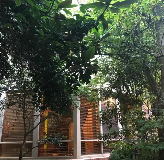 Fotos del hotel Linden Gardens Rainforest Retreat:  14