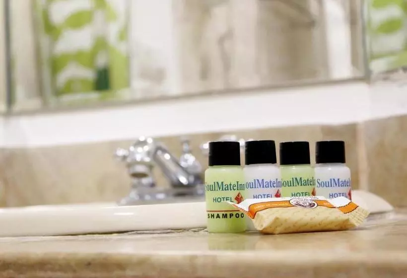 Fotos del hotel Soul Mate Inn:  13