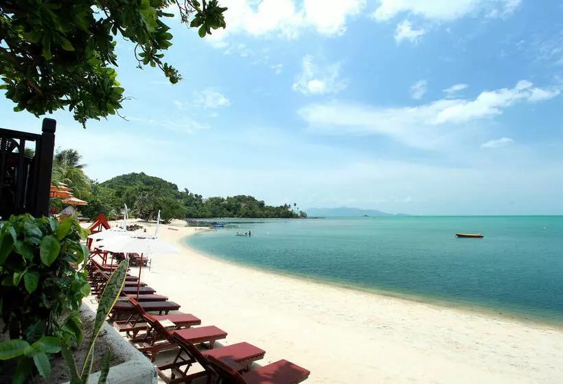 Fotos del hotel Sandy Resort:  12