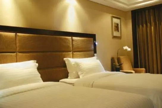 Fotos del hotel Daysun International:  11