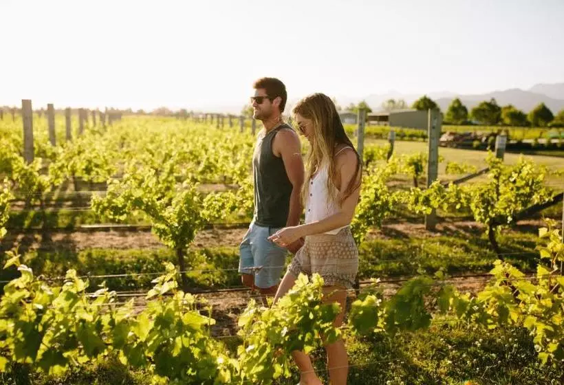 Fotos del hotel Marlborough Vintners Accommodation:  10