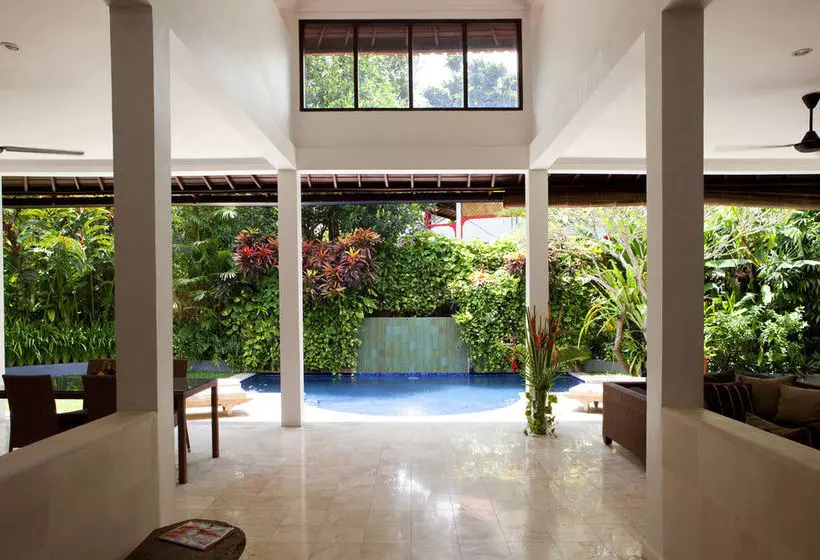 Fotos del hotel Villa 8:  3