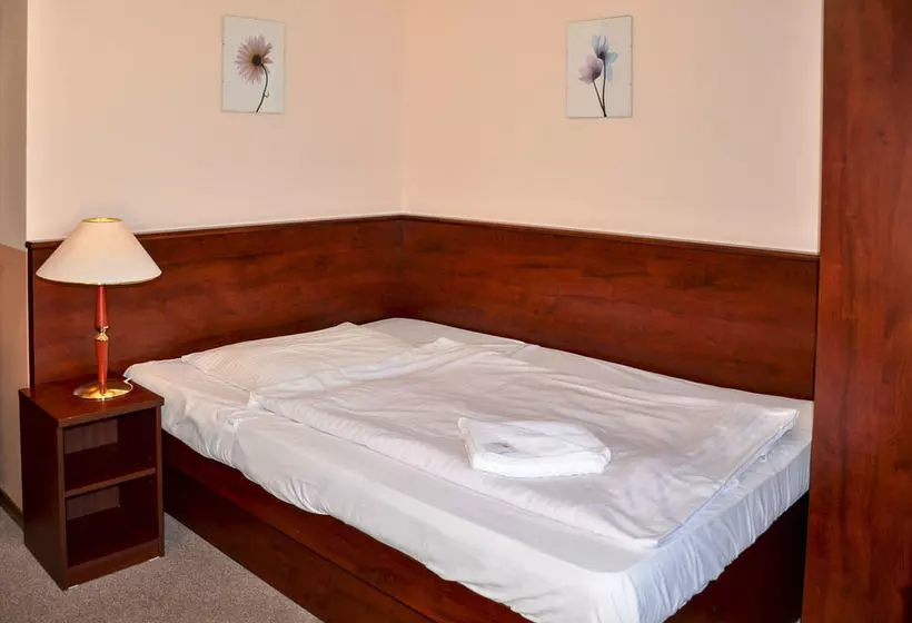 Fotos del hotel Inturprag:  9