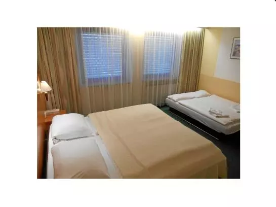 Fotos del hotel Langwasser Messe Nichtraucher:  17