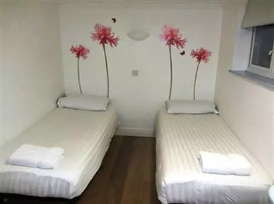 Fotos del hotel Montana Excel:  21