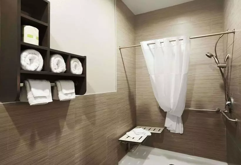 Fotos del hotel Days Inn & Suites By Wyndham Houston Northspring:  8