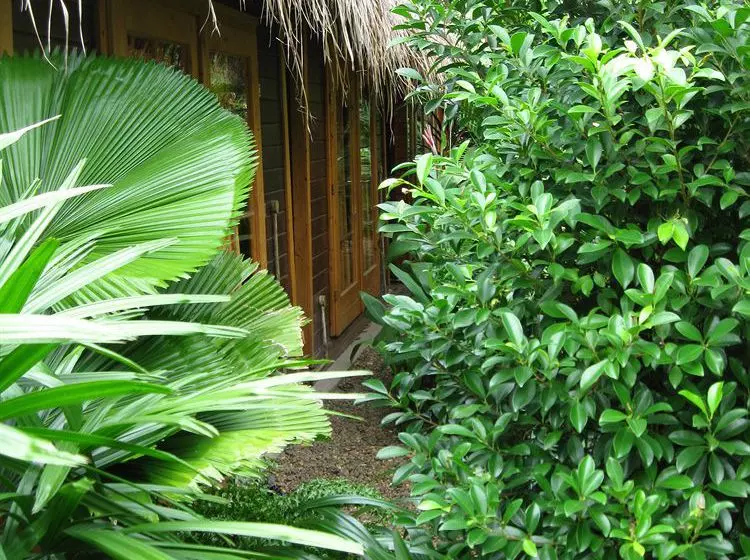 Fotos del hotel The Villa Paradiso:  22