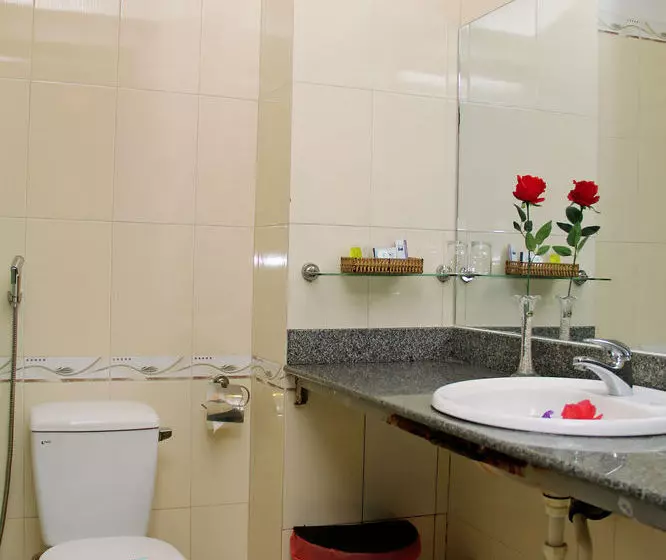 Fotos del hotel Lion Sea:  16