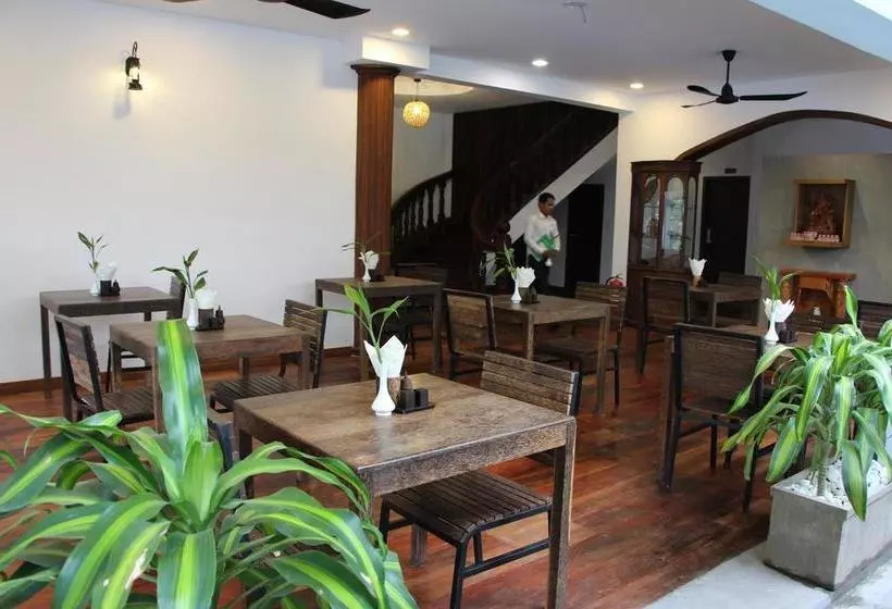 Fotos del hotel Palm Tree Boutique:  17