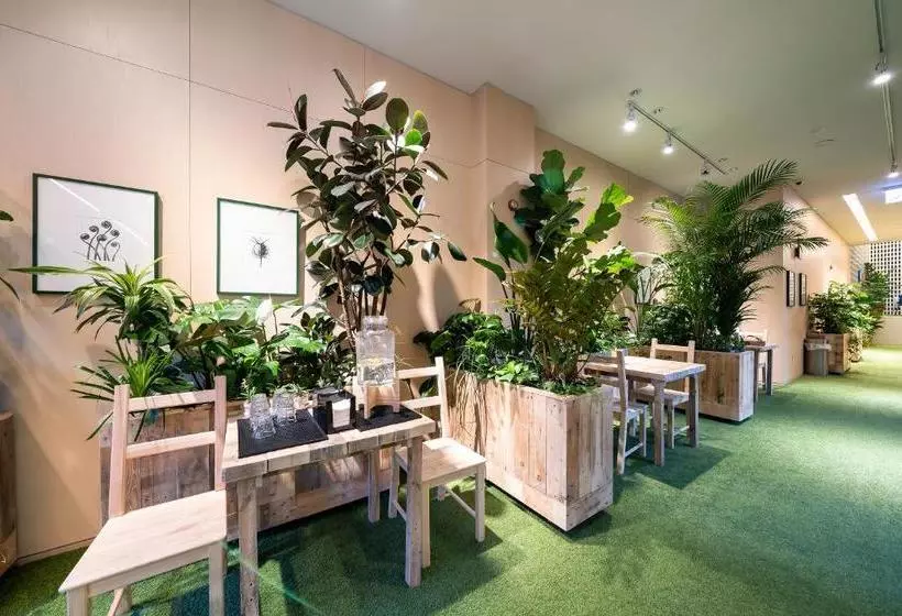 Fotos del hotel Boree:  6