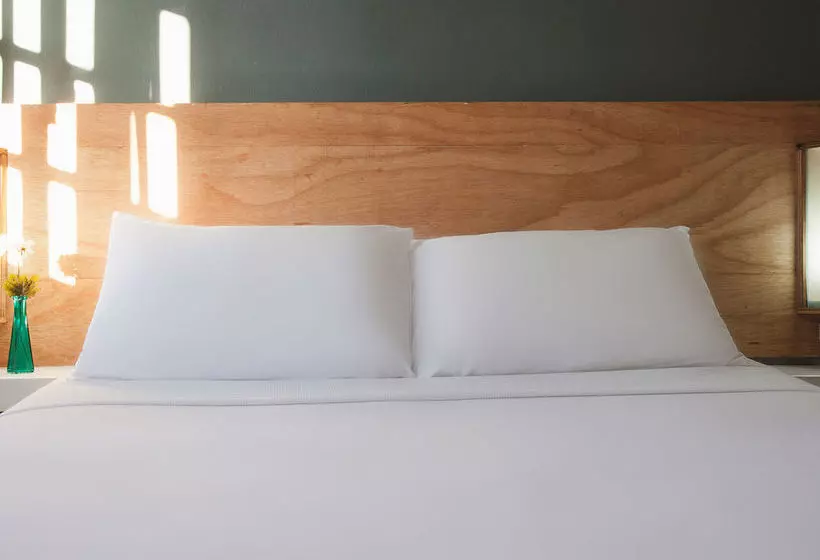 Fotos del hotel Htl Terra Sol:  14