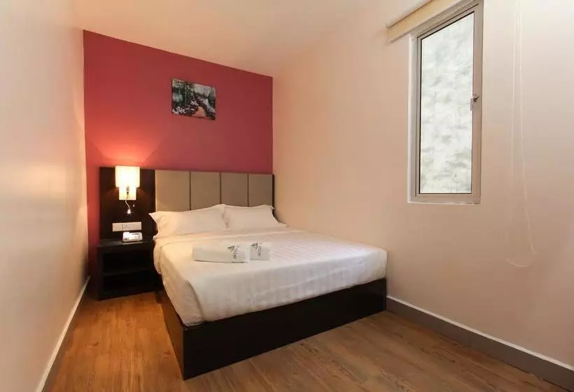 Fotos del hotel Amigo:  17