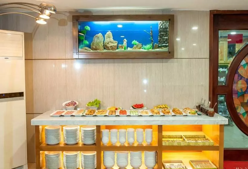 Fotos del hotel Acacia Saigon:  10