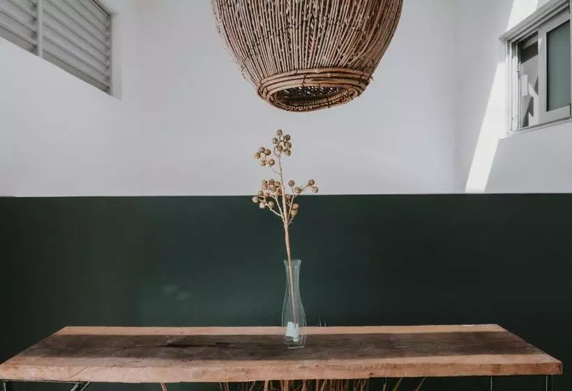 Fotos del hotel Kalma Casa Mora:  3