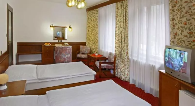 Fotos del hotel Spa Hotel Labe:  7