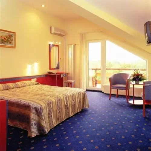 Fotos del hotel Caro Parc:  9