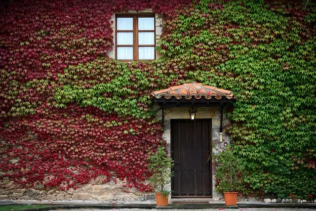 Fotos del hotel Palacio De Caranceja:  10