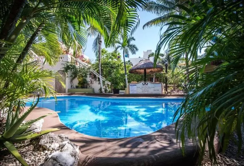 Fotos del hotel Aventura Mexicana:  8