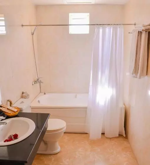 Fotos del hotel Queen Da Nang:  3