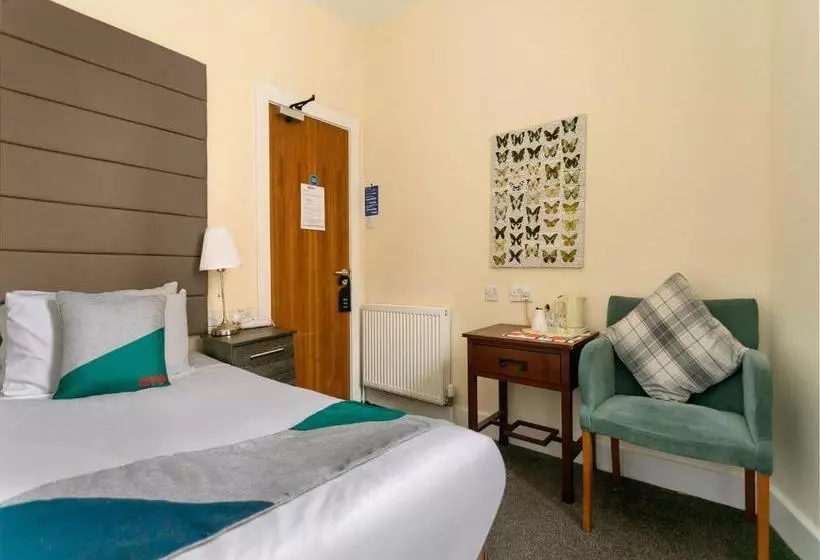 Fotos del hotel Ivory:  11