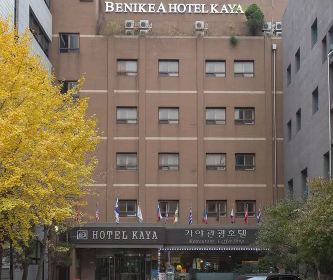 Fotos del hotel Kaya Latree:  3