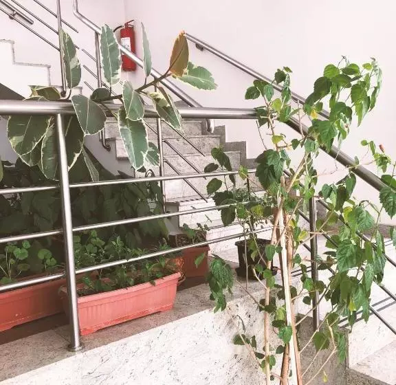 Fotos del hotel Imzit Dobrinja:  5