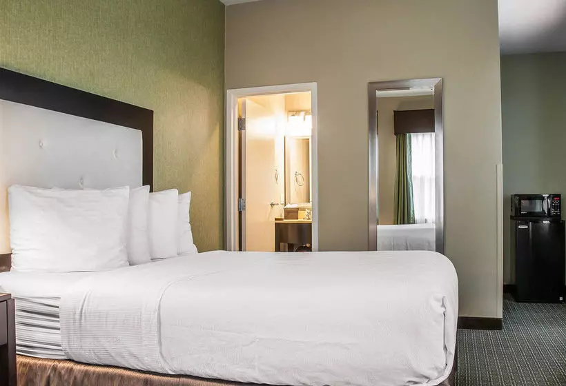 Fotos del hotel Envision  Bostonlongwood, Ascend  Collection:  21