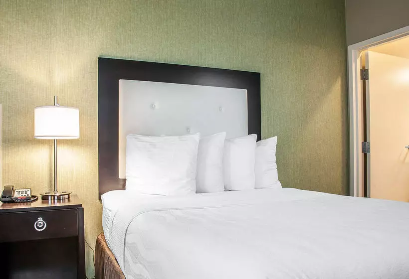 Fotos del hotel Envision  Bostonlongwood, Ascend  Collection:  19