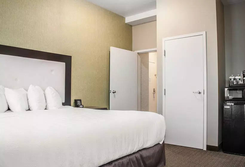 Fotos del hotel Envision  Bostonlongwood, Ascend  Collection:  24