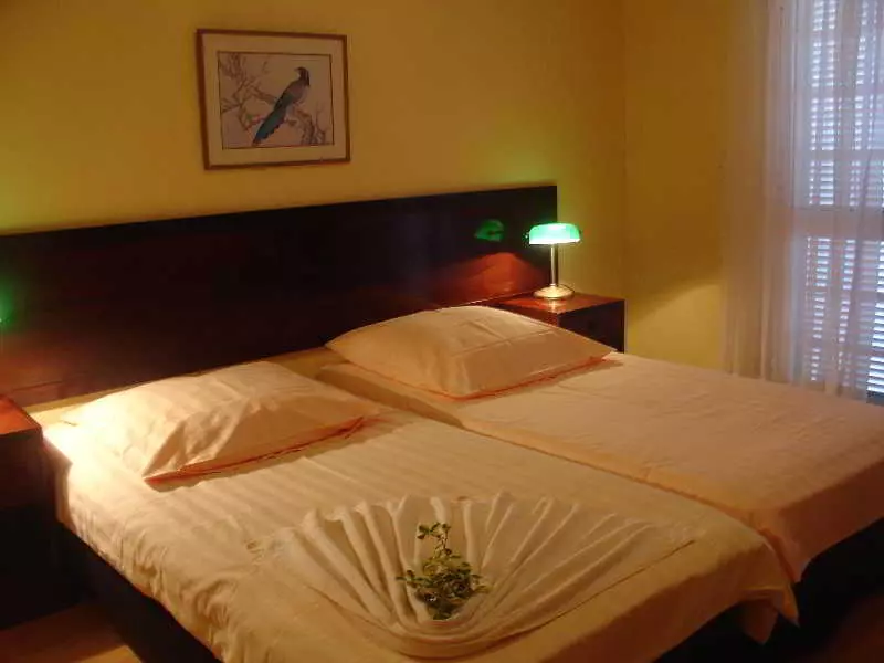 Fotos del hotel Inn & Art Casa De Chá Dos Prazeres:  12