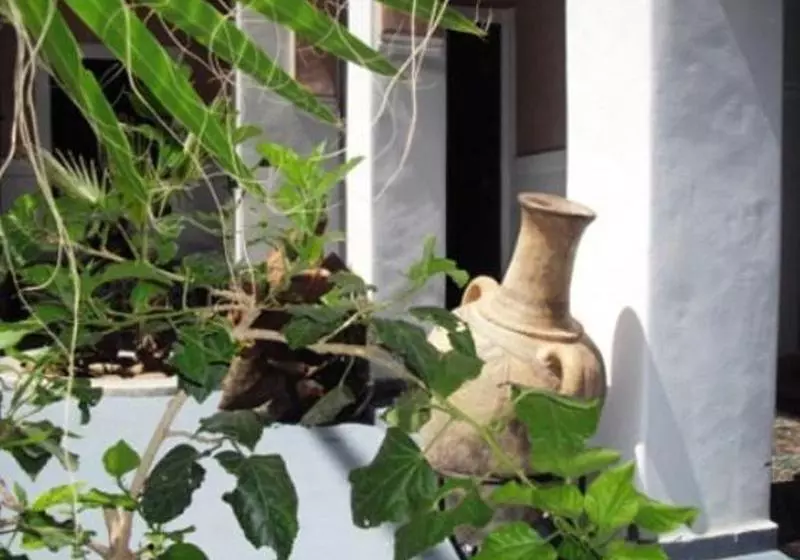 Fotos del hotel Dar Dubai:  18