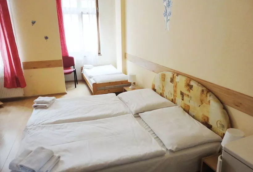 Fotos del hotel Jizera Karlovy Vary:  21