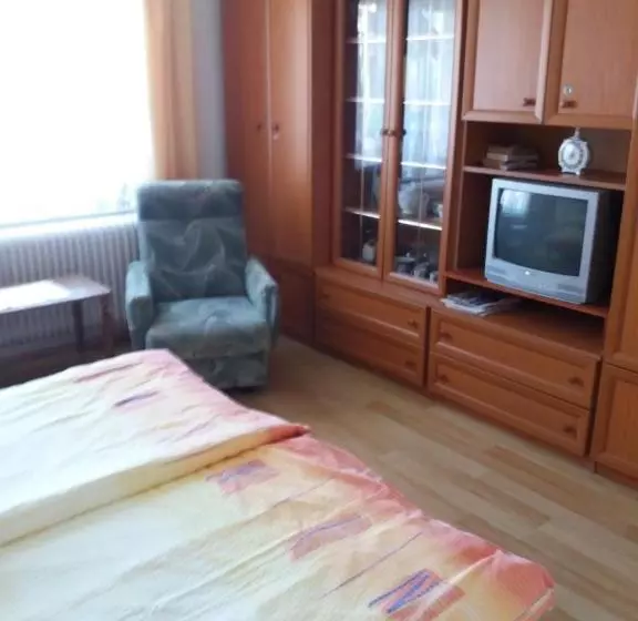 Fotos del hotel Judit Vendégház:  4