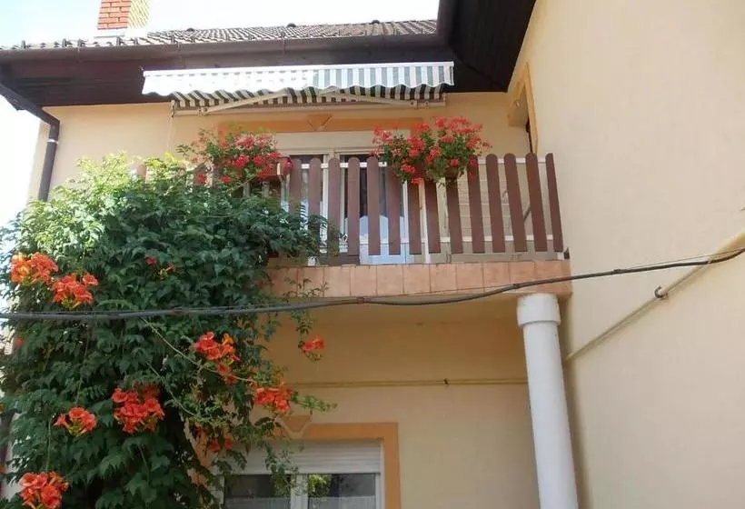 Fotos del hotel Judit Vendégház:  11