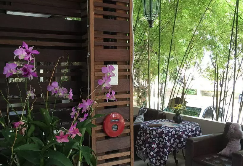 Fotos del hotel 3b Boutique:  8