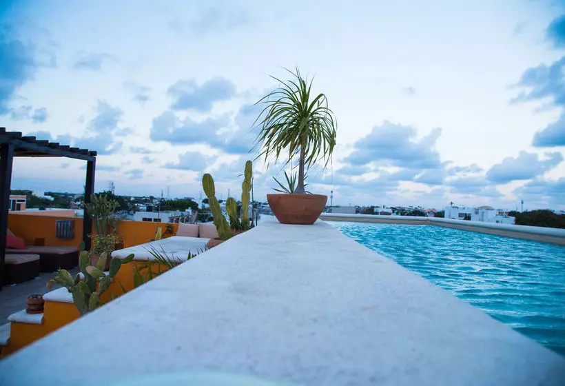 Fotos del hotel La Galeria By Bunik:  13