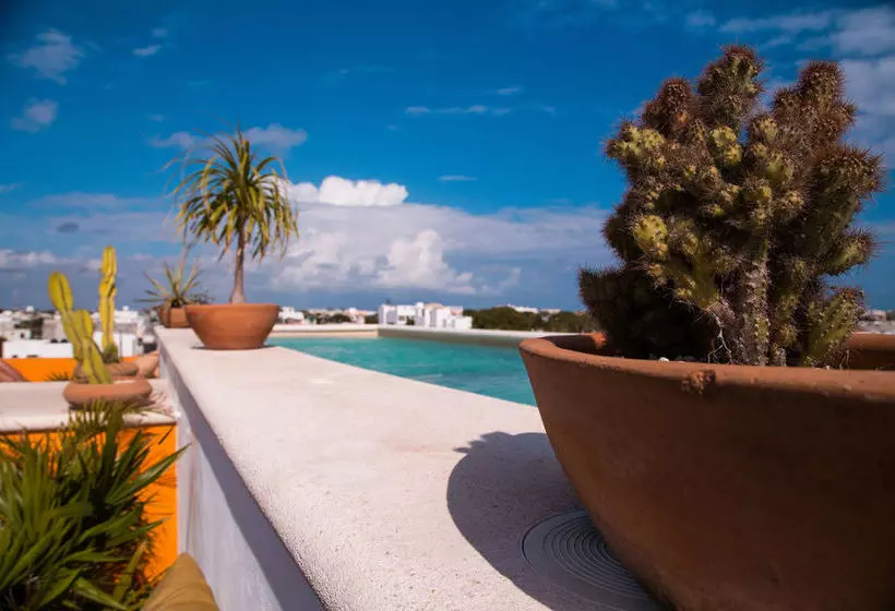 Fotos del hotel La Galeria By Bunik:  7