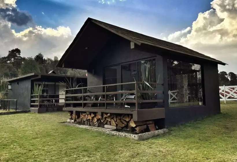 Fotos del hotel Organico Hotel Boutique:  8