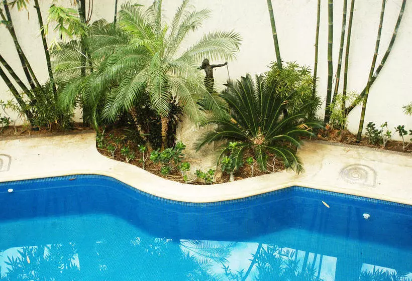 Fotos del hotel Chapul Inn:  8