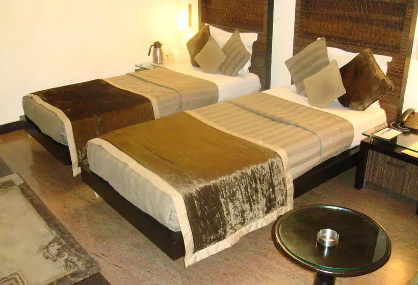 Fotos del hotel Shreyans Inn:  15