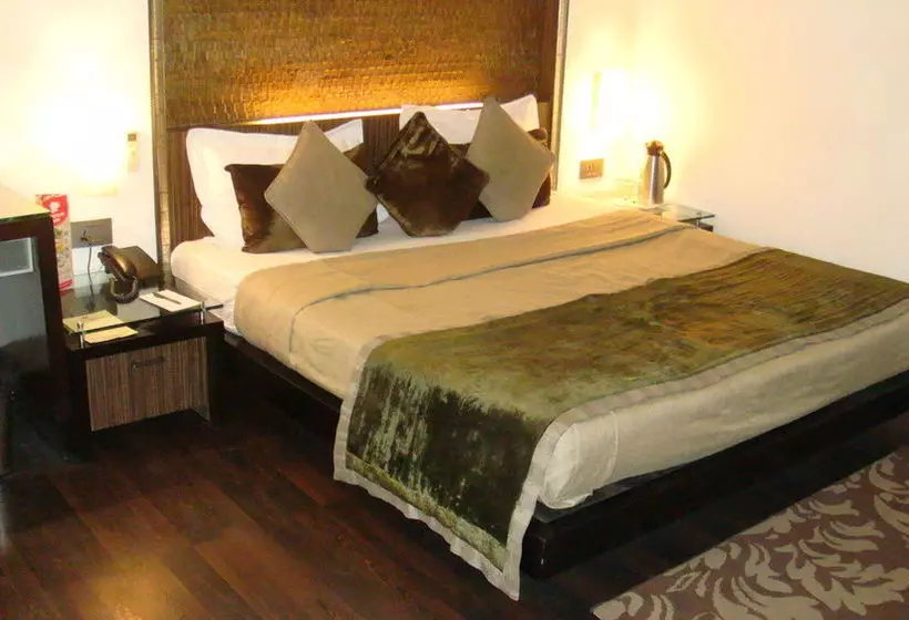 Fotos del hotel Shreyans Inn:  10