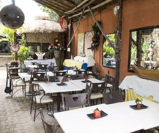 Fotos del hotel Tulum Iguanas:  3