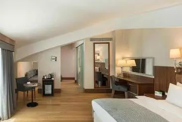 Holiday Inn Istanbul Old City, An Ihg