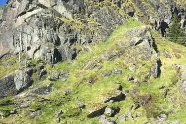 Live Lofoten